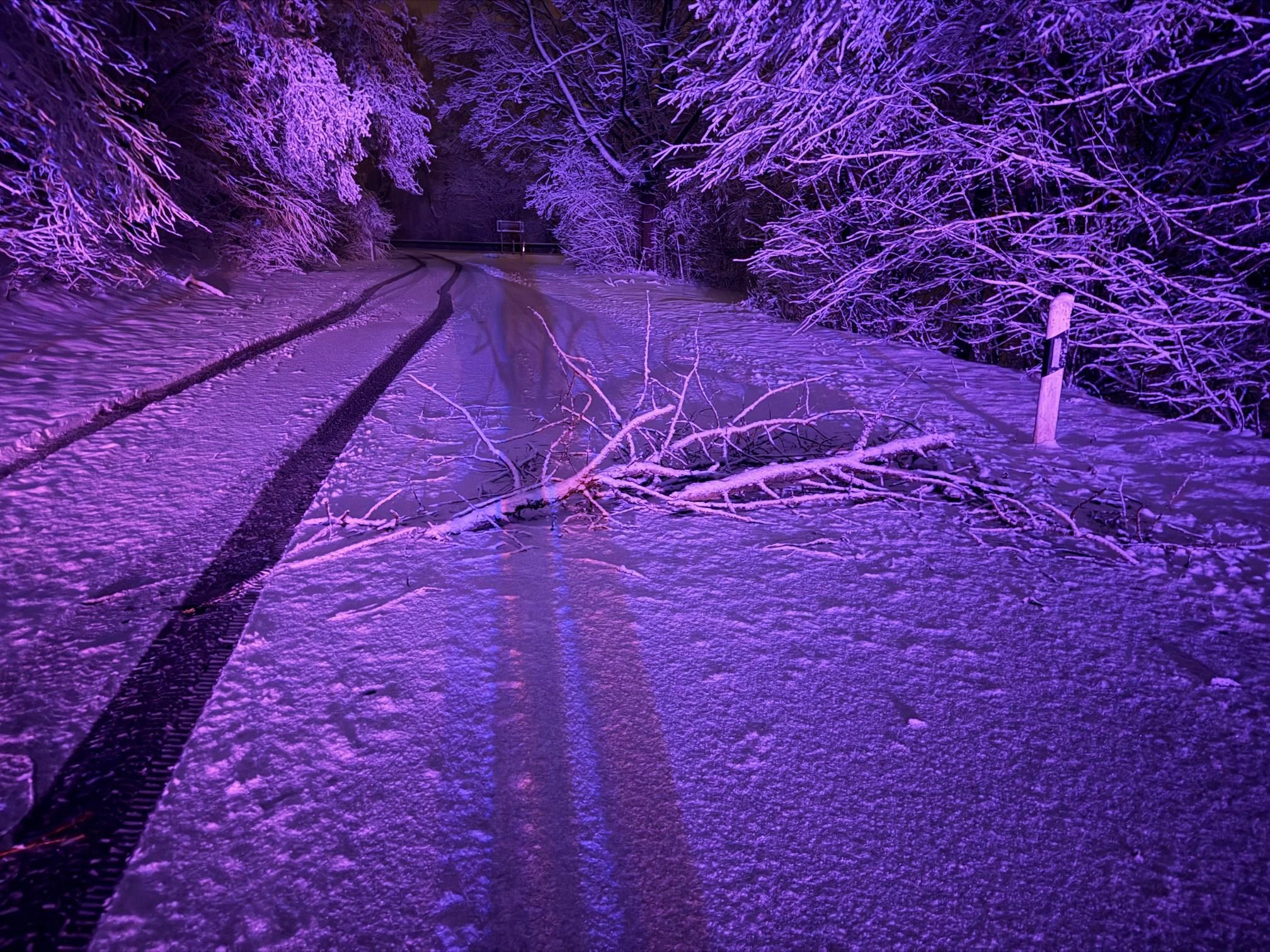 Einsatzfoto Baum auf Fahrbahn
